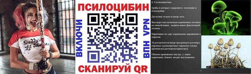 Псилоцибиновые грибы Psilocybe  Тихорецк 