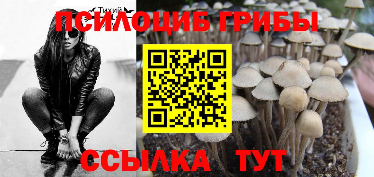 Псилоцибиновые грибы Cubensis  закладки  Тихорецк  Вход с VPN 