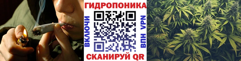 закладка  Тихорецк  Шишки марихуана SATIVA & INDICA 